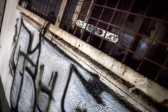 LOST-PLACES-freedom-trapped