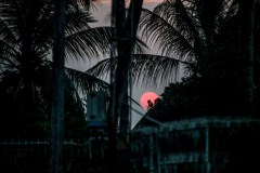 IMG_0524