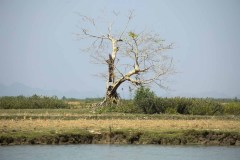 IMG_1501
