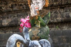 IMG_2217