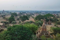 IMG_3529