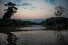 IMG_4882